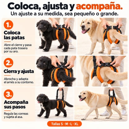 Arnés trasero PawLift™️